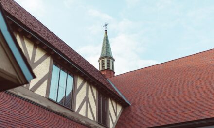 Les Matériaux Écologiques pour une Rénovation de Toiture Efficace