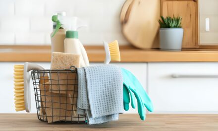 Emploi d’aide à domicile : réductions d’impôt et impact social, le bon choix pour votre foyer