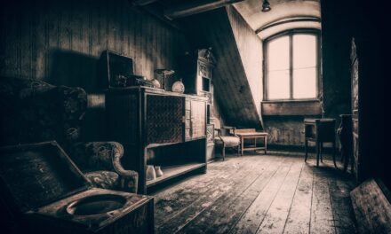 Le débarras de la maison à Toulouse : la solution de facilité après un décès