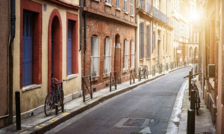 Achat immobilier à Toulouse : entre espoirs et désillusions